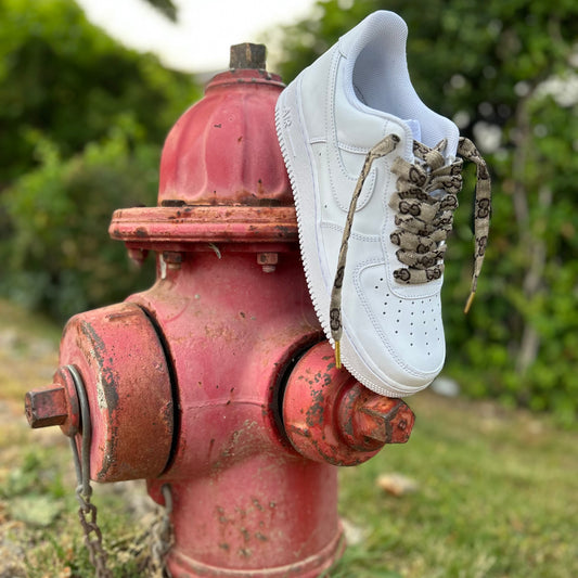 Gucci: Luxury Shoe Laces