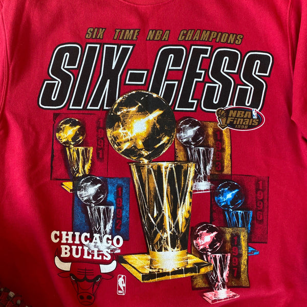 Chicago Bulls Six Championship Trophies